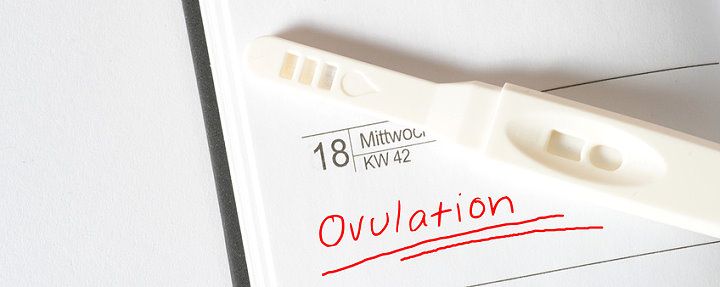 Was ist ein Ovulationstest?