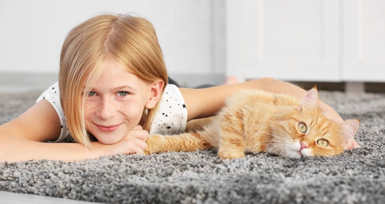 Katzen sind pflegeleichte Haustiere für Kinder