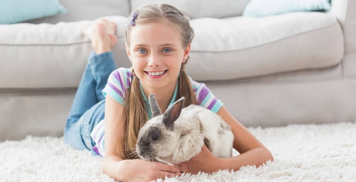 Kaninchen als Haustiere für Kinder