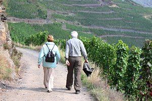 Senioren beim Wandern im Weinanbaugebiet